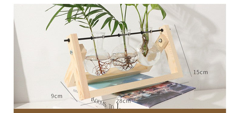 Glass Vase Planter with Wooden Frame – Tabletop Decor