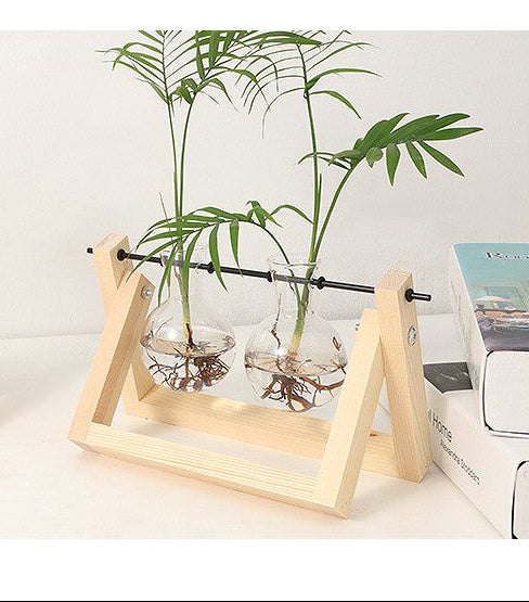 Glass Vase Planter with Wooden Frame – Tabletop Decor