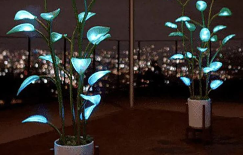 Glowing LED Plant Night Light